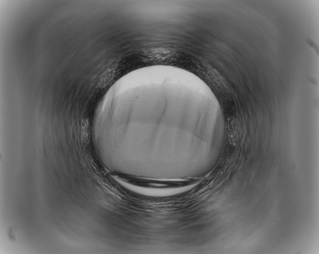 X0000097780563200803281704