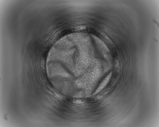 X0000097780565200803281704