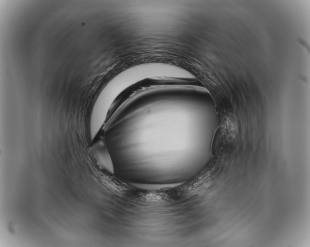 X0000097780566200803281704