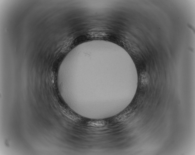 X0000097780567200803281704