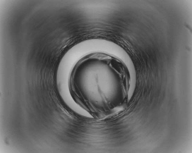 X0000097780568200803281704