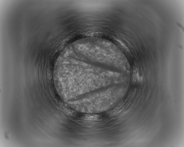 X0000097780569200803281704