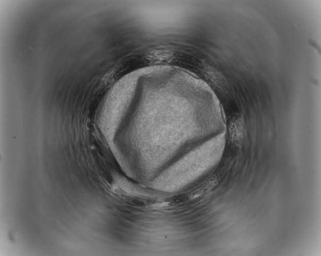 X0000097780570200803281704