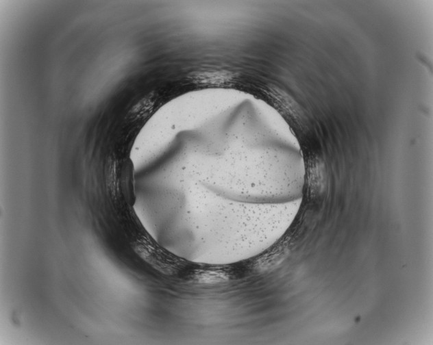 X0000097780572200803281704