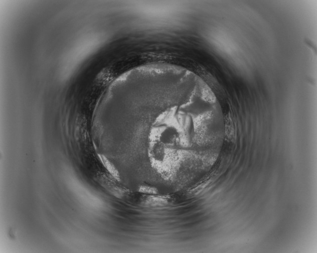 X0000097780573200803281704