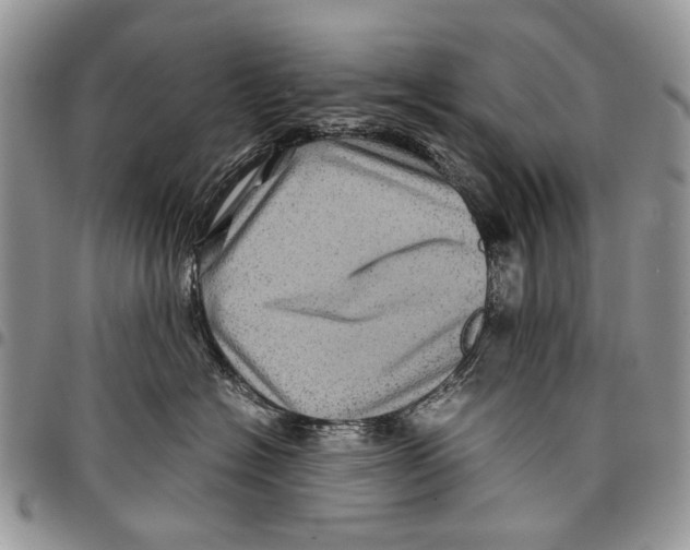 X0000097780574200803281704