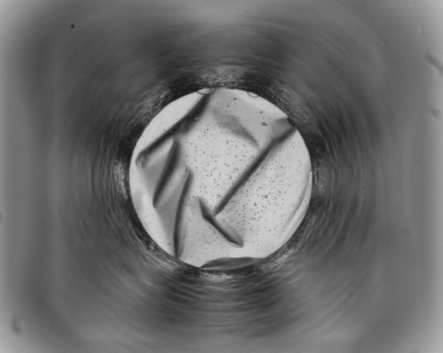 X0000097780575200803281704