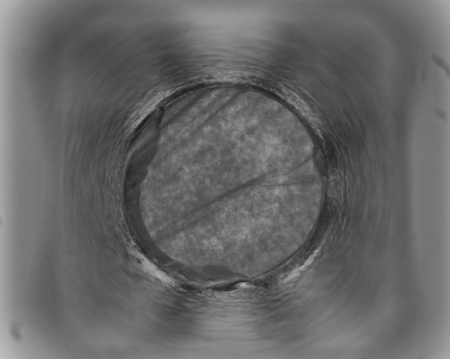 X0000097780577200803281703