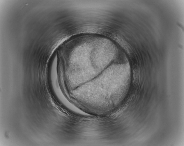 X0000097780580200803281703