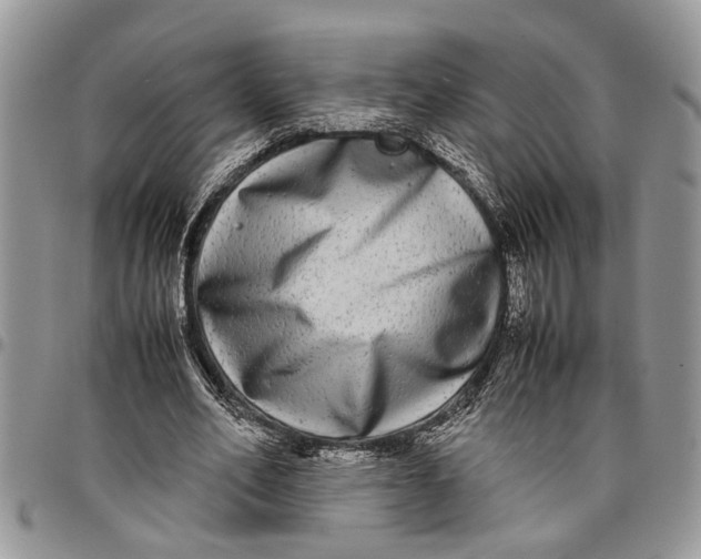 X0000097780582200803281703