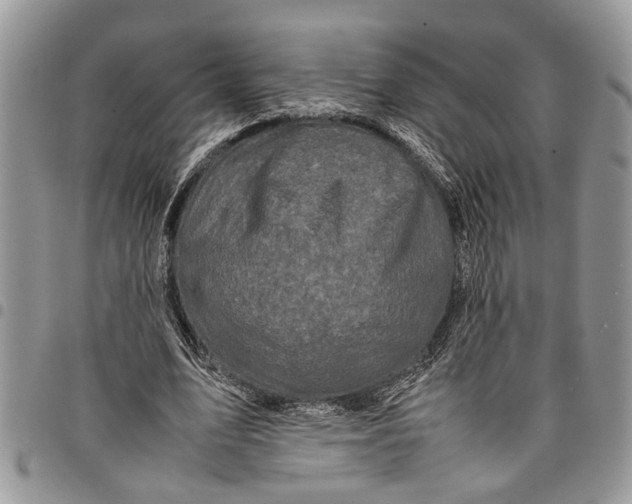 X0000097780583200803281703