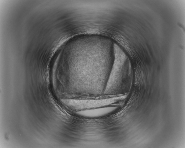 X0000097780584200803281703