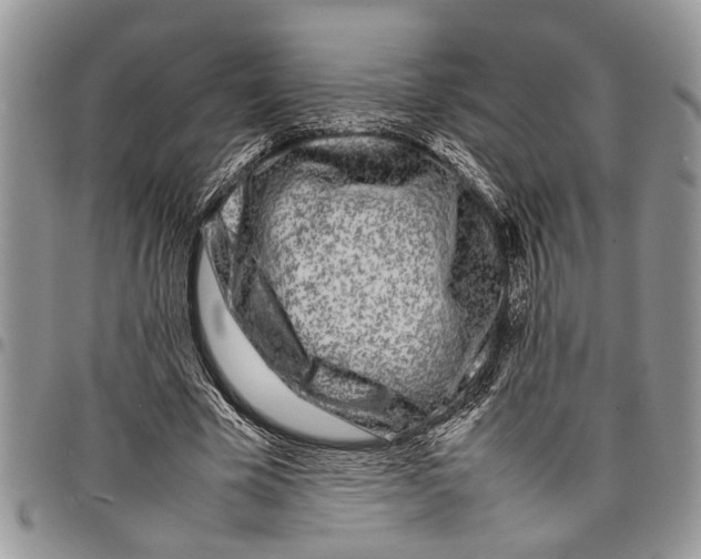 X0000097780585200803281703