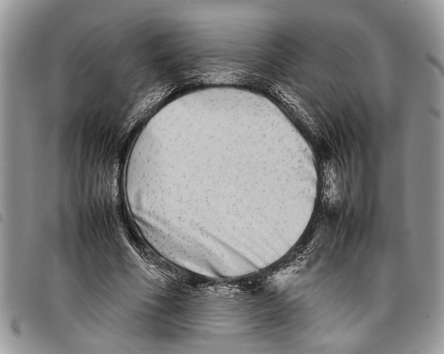 X0000097780586200803281703