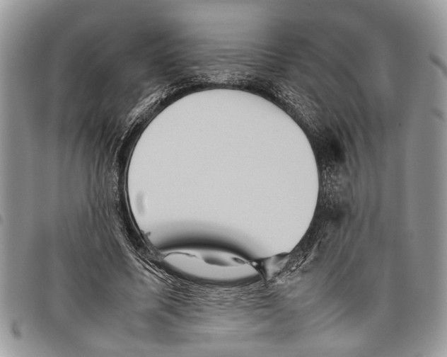 X0000097780587200803281703