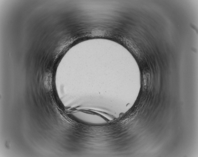 X0000097780588200803281703