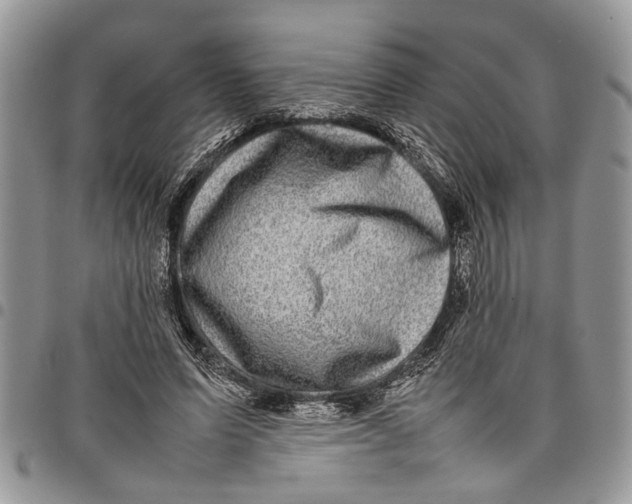 X0000097780591200803281703