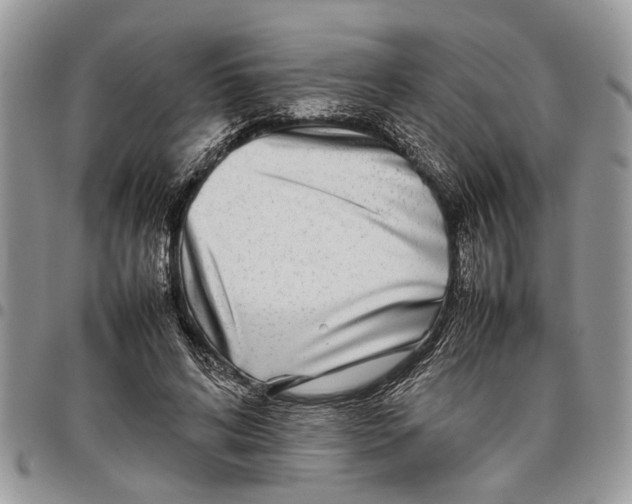 X0000097780592200803281703