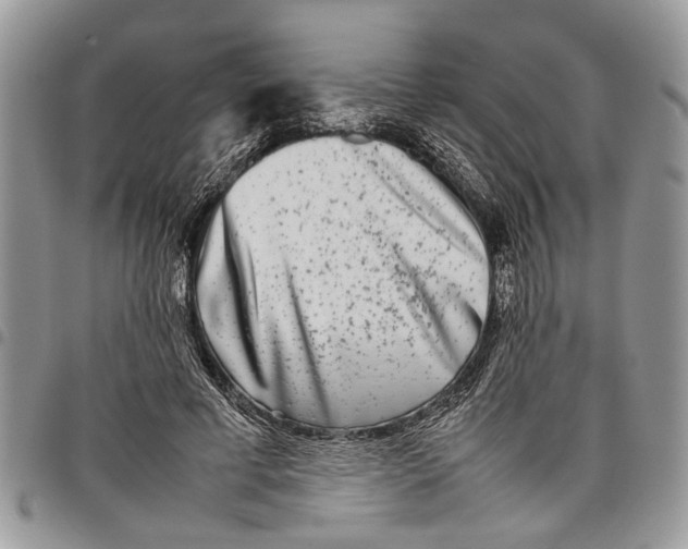 X0000097780593200803281703