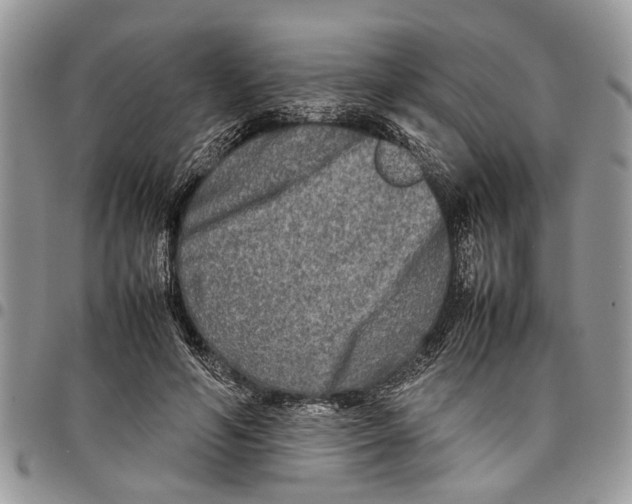 X0000097780594200803281703