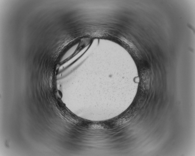 X0000097780596200803281703