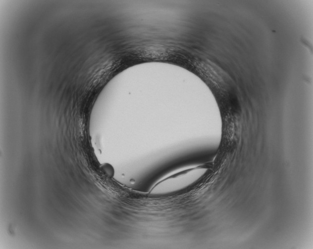 X0000097780597200803281703