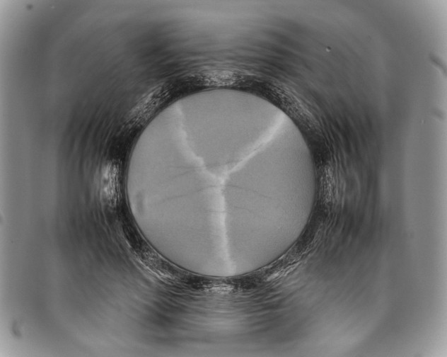 X0000097780598200803281703