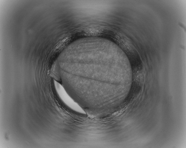 X0000097780599200803281703