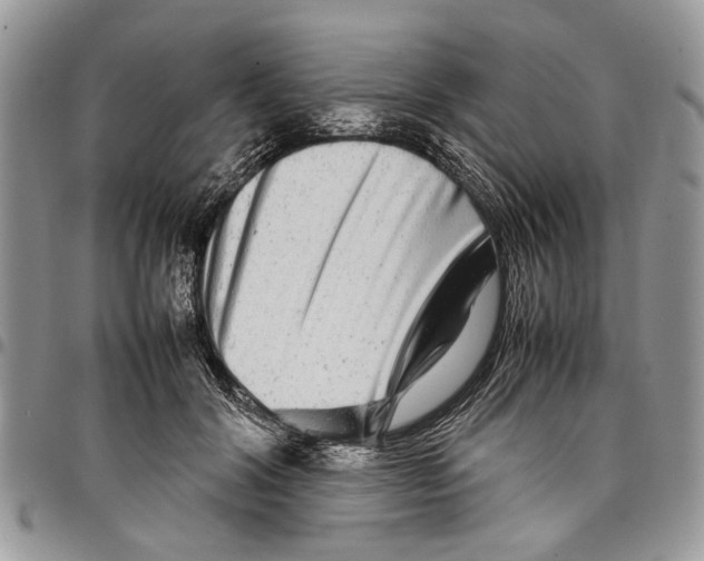 X0000097780604200803281703