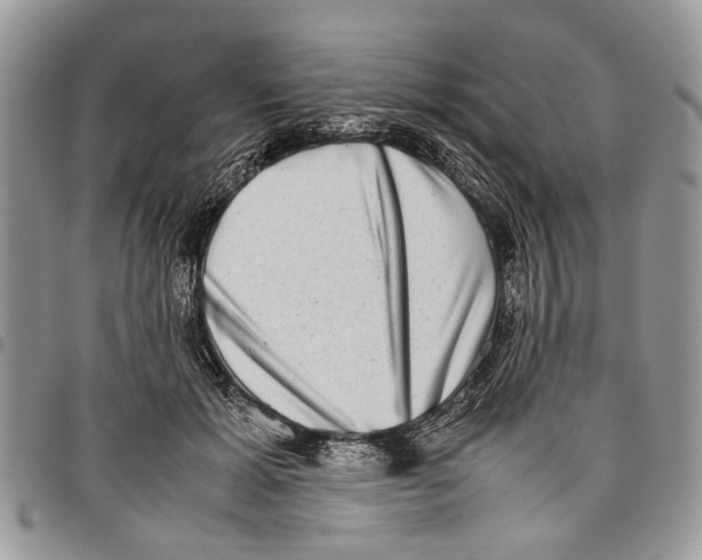 X0000097780605200803281703