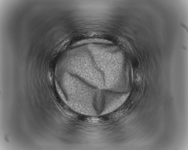 X0000097780607200803281703