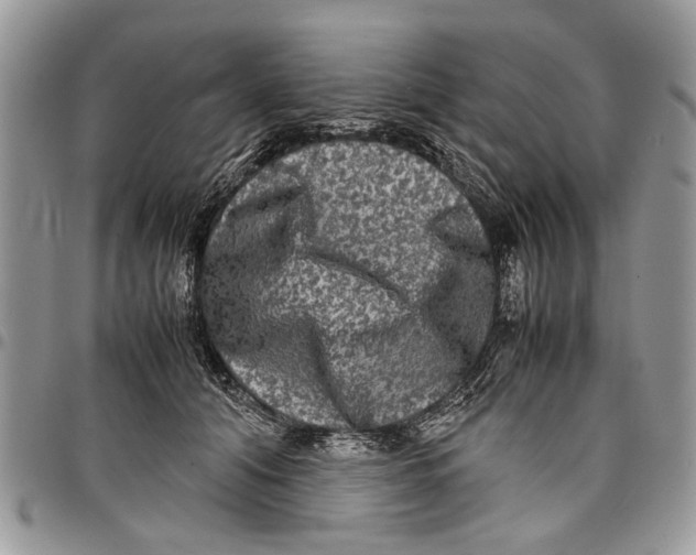 X0000097780608200803281703