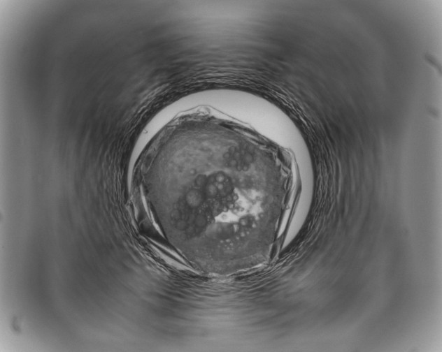 X0000097780609200803281703