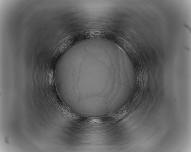 X0000097780610200803281703