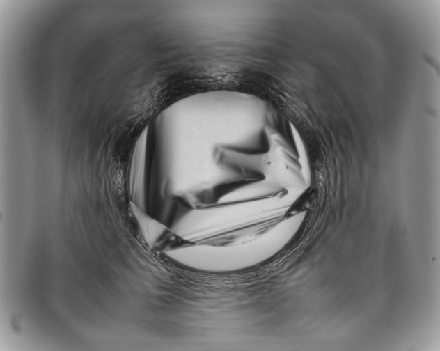 X0000097780613200803281703