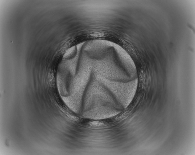 X0000097780614200803281703