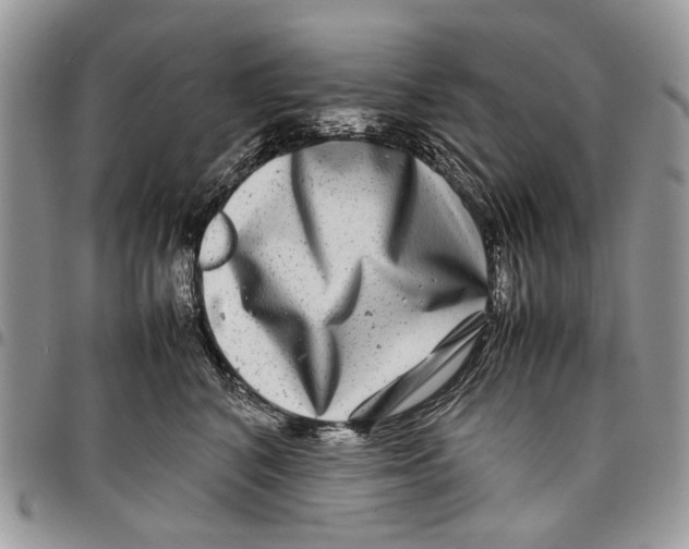 X0000097780616200803281703