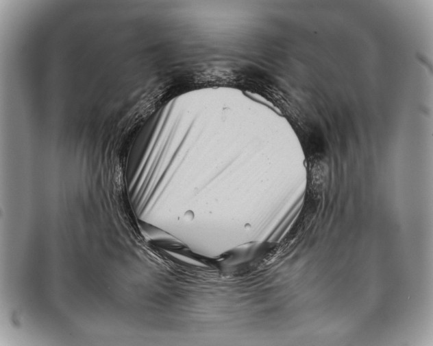 X0000097780617200803281703