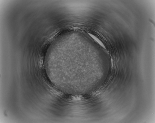 X0000097780618200803281703