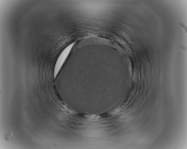 X0000097780621200803281703