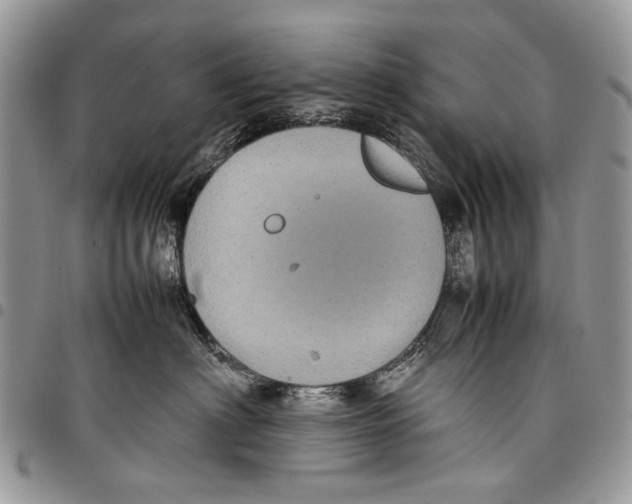 X0000097780622200803281703