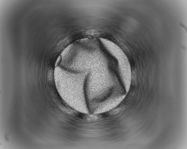 X0000097780623200803281703