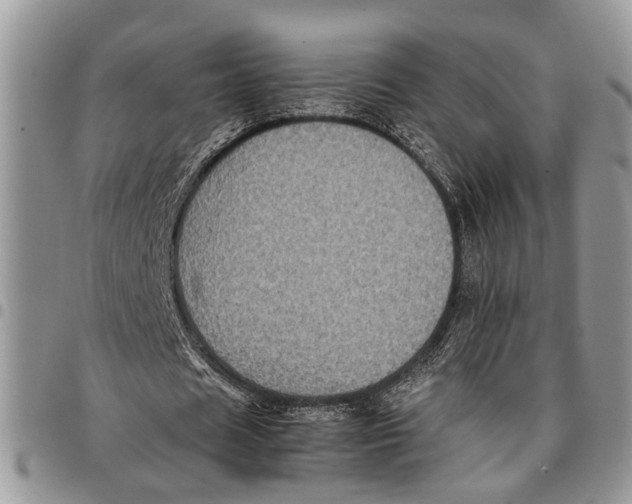 X0000097780625200803281702