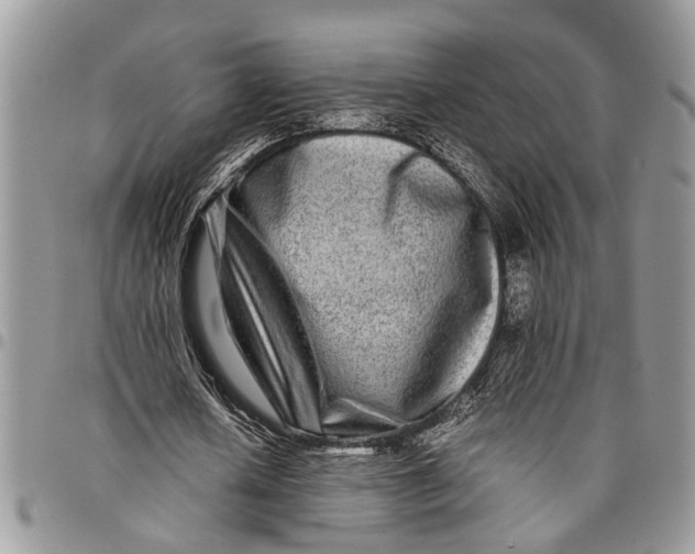 X0000097780626200803281702