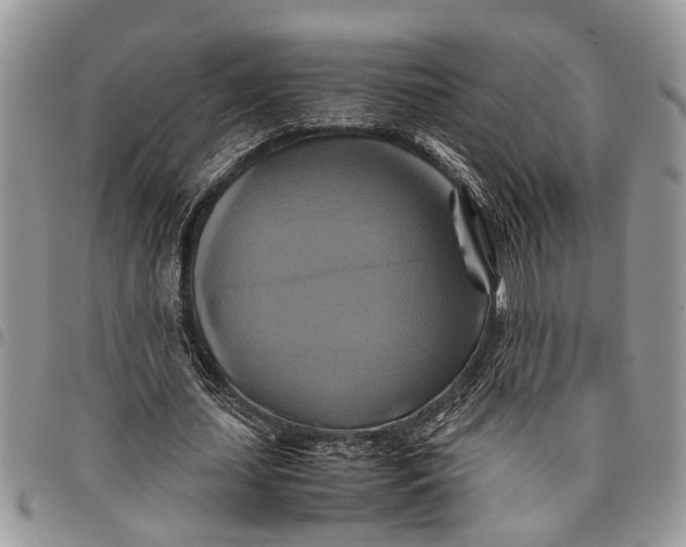 X0000097780627200803281702