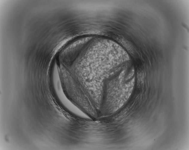 X0000097780628200803281702