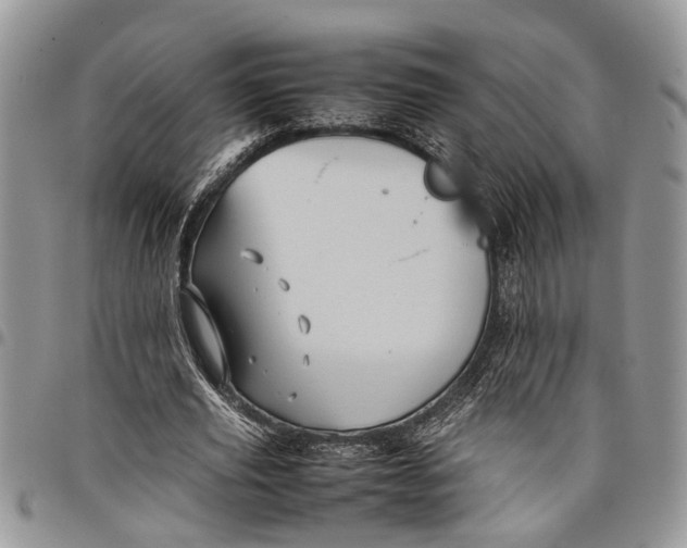 X0000097780629200803281702