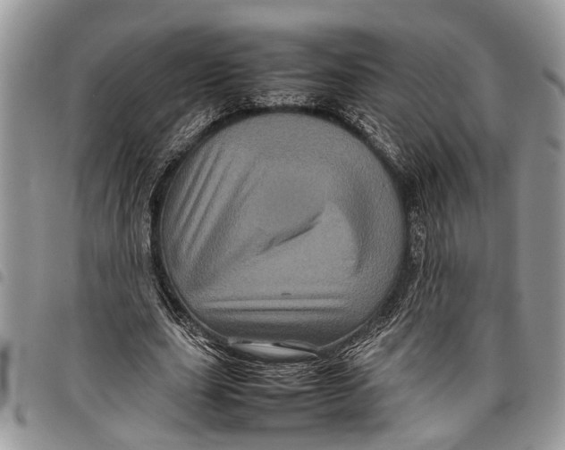 X0000097780631200803281702