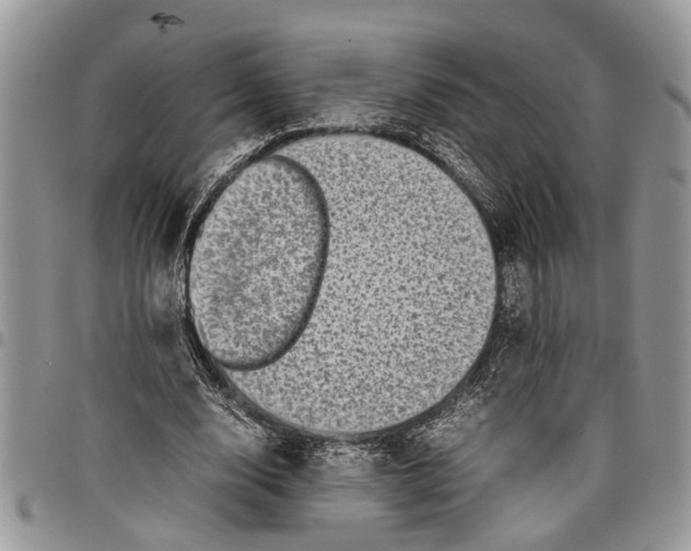 X0000097780632200803281702