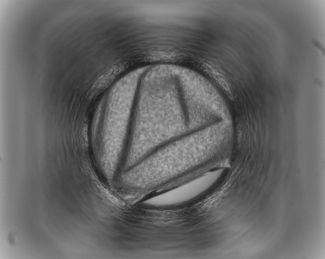 X0000097780633200803281702